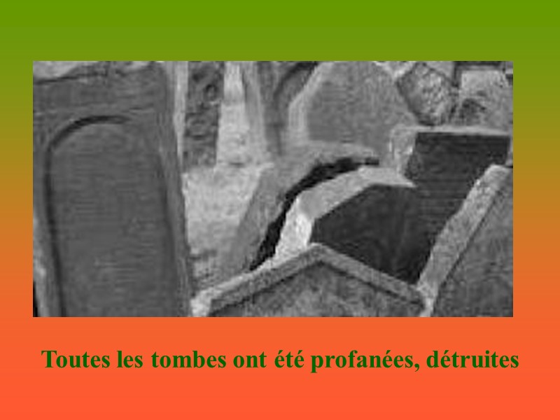 Toutes les tombes ont été profanées, détruites